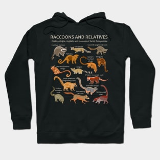 Raccoons and relatives: Coatis, olingos, ringtails, and raccoons of family Procyonidae Hoodie